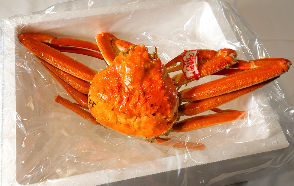 【浜ゆで】特選松葉がに　特大